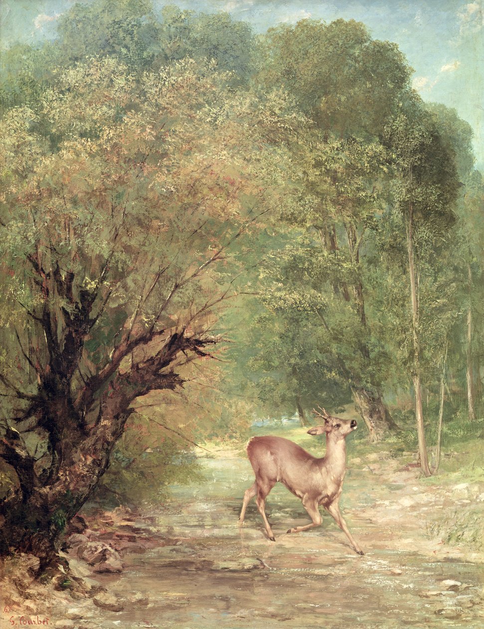 Lovený srnec v pohotovosti, jaro 1867 od Gustave Courbet