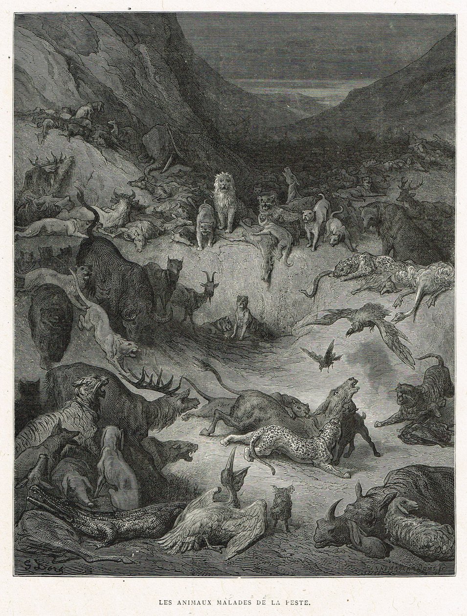 Zvířata nemocná morem od Gustave Dore