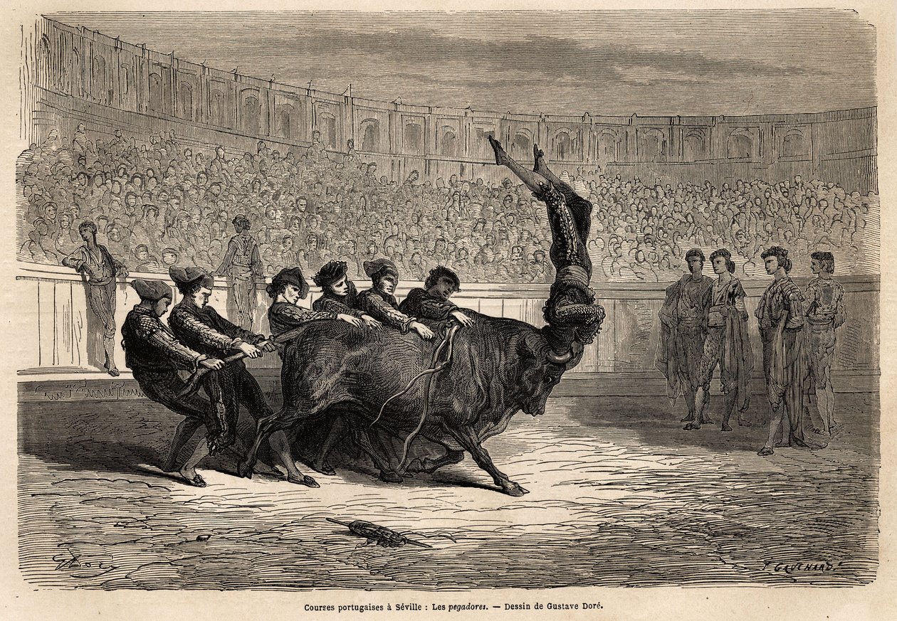 Scéna z býčích zápasů, Pegatores v Seville od Gustave Dore