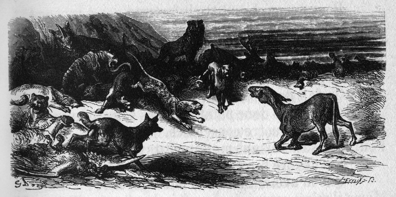 Zvířata nemocná morem. Bajky Jean de La Fontaine (1621-95). Ilustrace Gustave Dore. od Gustave Dore