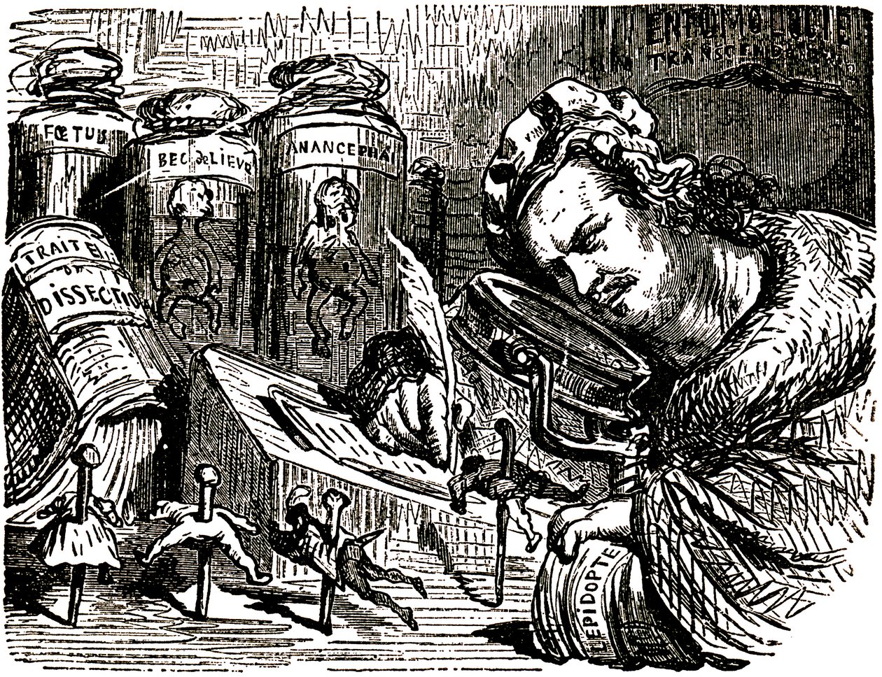 Karikatura Honore de Balzaca (1799-1850) od Gustava Doreho (1832-1883) pro Drolatiques Tales (1855): spisovatel je zde vyobrazen jako entomolog, který studuje lidi jako hmyz ve svém kabinetu plném entomologických a pitevních náčrtů a sklenic s hmyzem. od Gustave Dore