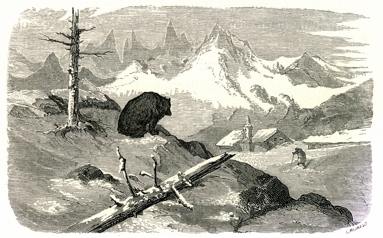 Rytina Gustava Doreho ilustrující knihu "Voyage aux Pyrenees d