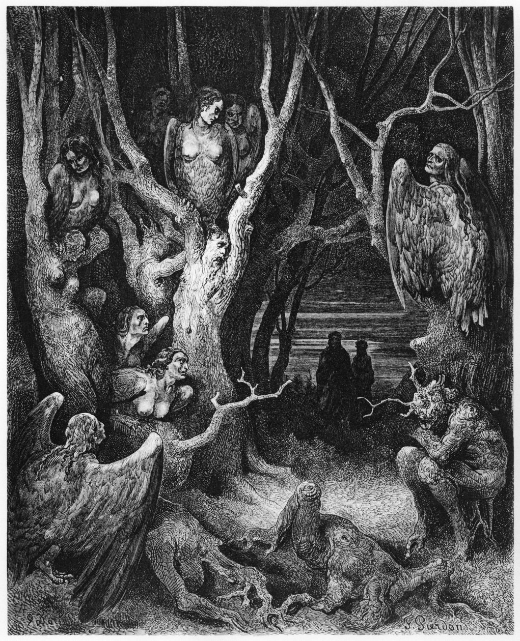 Harpyje, ilustrace z 