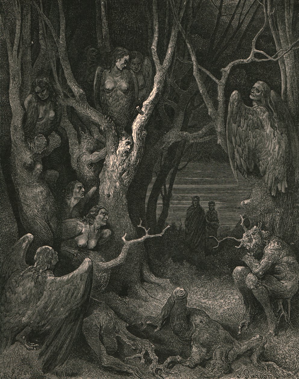 Zde si své hnízdo tvoří brutální harpyje, c1890. od Gustave Dore