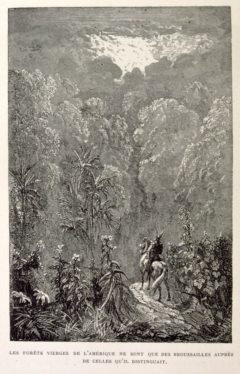 Ilustrace amerického lesa z knihy La legende de Croque-Mitaine. od Gustave Dore
