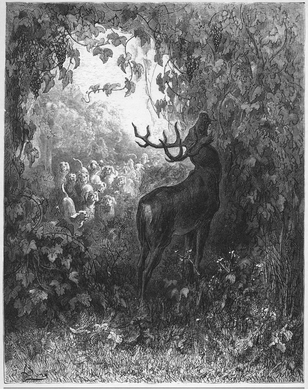 JELEN A VINE - Jelen a réva - z "Bajky" od Jean de La Fontaine od Gustave Dore