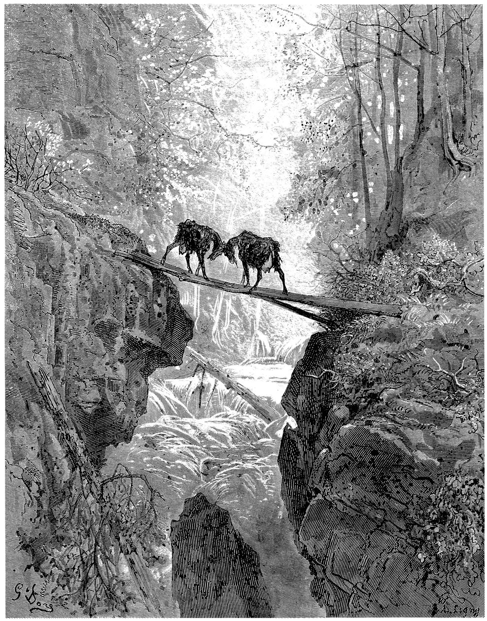 Les deux chevres: pohádka Jeana de la Fontaine s ilustracemi Gustava Doreho - les, potok, proud - od Gustave Dore