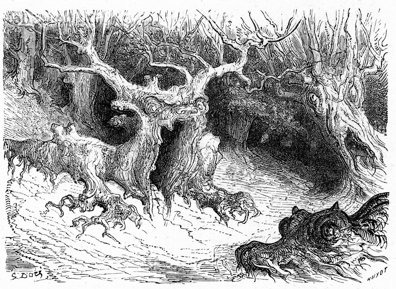 Monstrózní buky v údolí Ossau, antropomorfní monstrózní stromy. Rytina Gustava Doreho ilustrující knihu "Voyage aux Pyrenees d