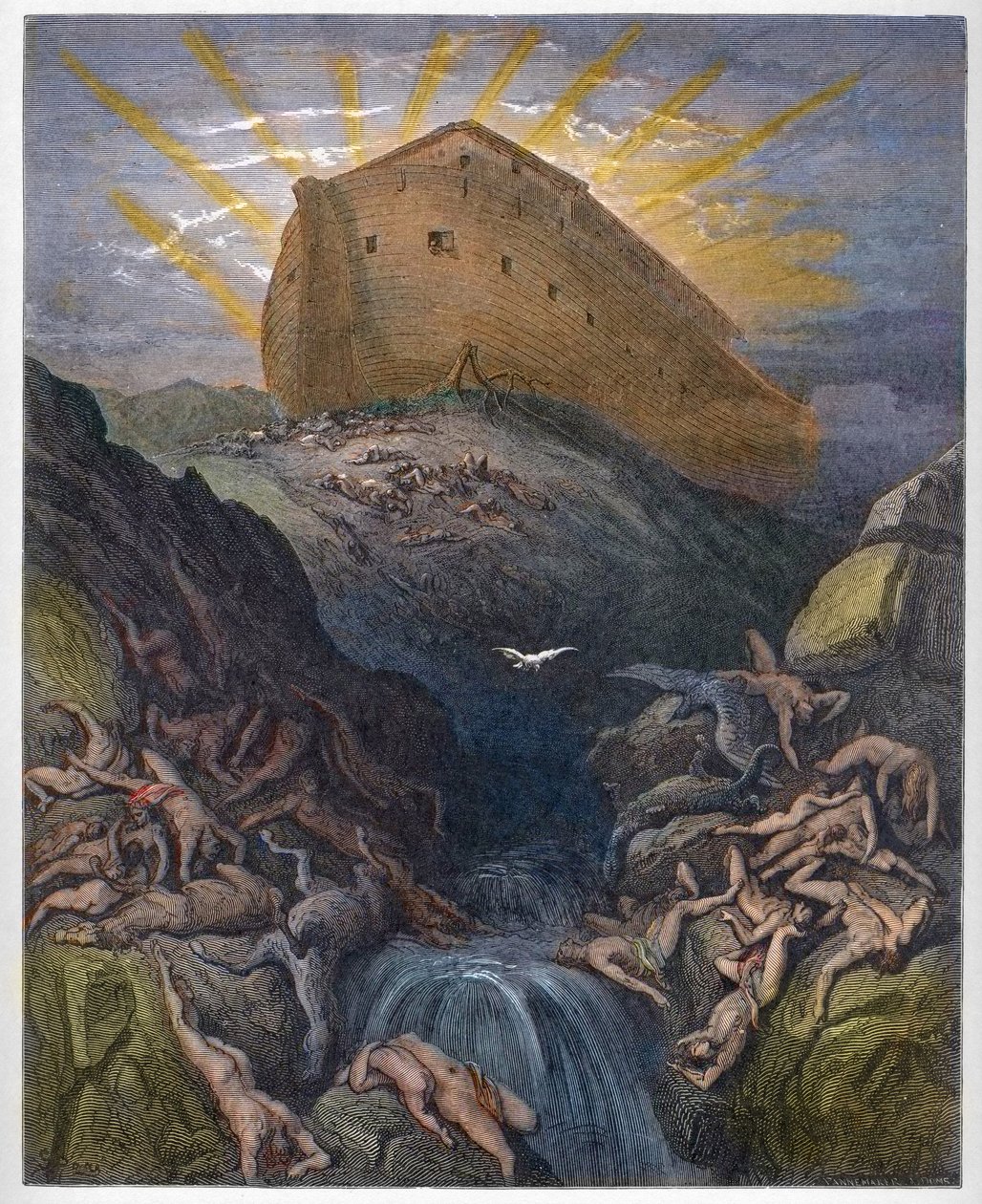 Noemova archa – Holubice vyslána z archy – Holubice vyslána z archy Noe – rytina z „“ The Bible illustree“ od Gustava Dore (1832-1883) – rytina z „“ The Dore Bible“ od Gustave Dore