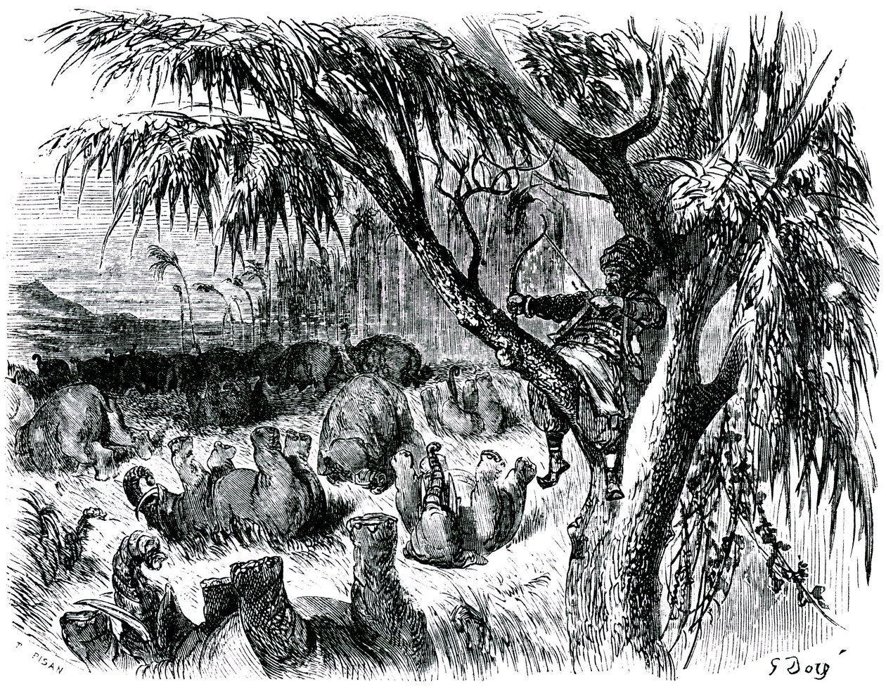 Sindibád námořník (Sindbad) - příběh tisíce a jedné (1001) noci - ilustrace Gustave Dore - vydání Maxwell 1865 - Sedmá plavba: Sindibád, sedící na stromě, táhne lukem za slony. od Gustave Dore