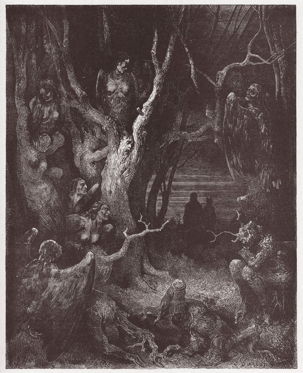 Božská komedie (La Divina Commedia, La Divine Comedie), Inferno, Canto 13: Harpyje v lese sebevrahů - Dante Alighieri (1265-1321) - Ilustrace Gustave Dore (1832-1883) od Gustave Dore