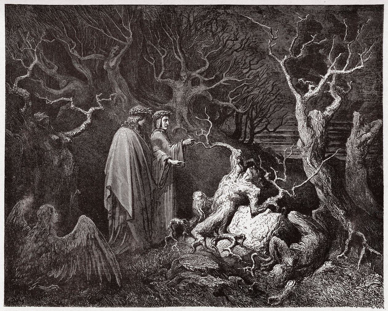 Božská komedie (La Divina Commedia, La Divine Comedie), Inferno, Canto 13: Sebevraždy v lese - Dante Alighieri (1265-1321) - Ilustrace Gustave Dore (1832-1883) od Gustave Dore