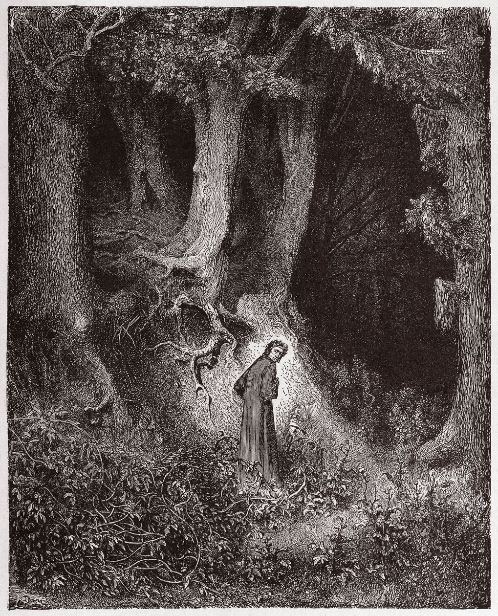 Božská komedie (La Divina Commedia, La Divine Comedie), Inferno, Canto 1: Dante in the wild wood - od Dante Alighieri (1265-1321) - ilustrace Gustave Dore (1832-1883) od Gustave Dore