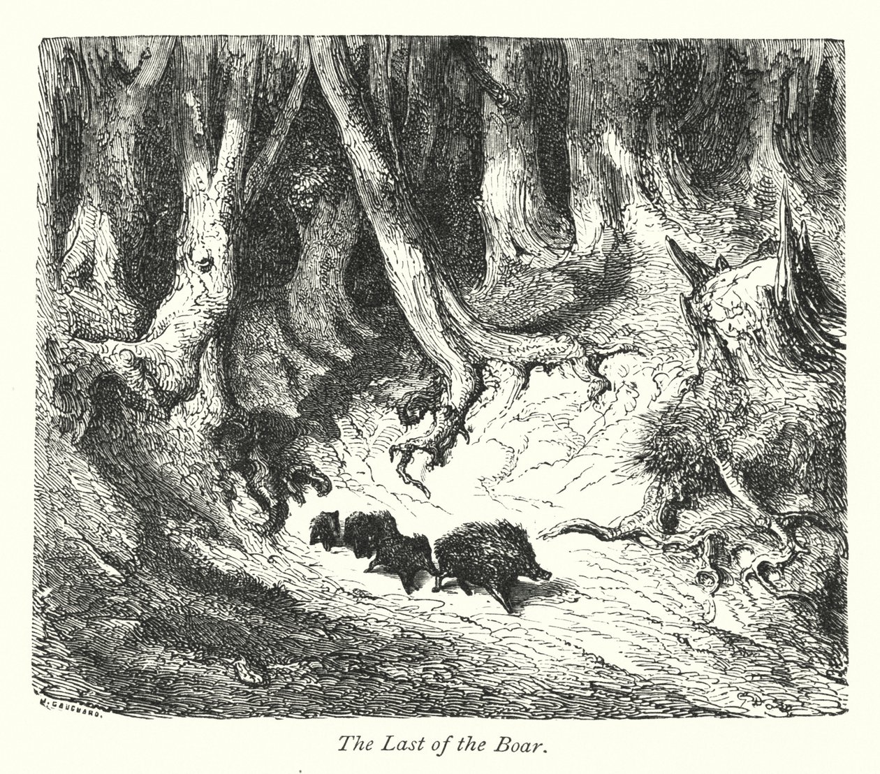 Poslední kanec (rytina) od Gustave Dore