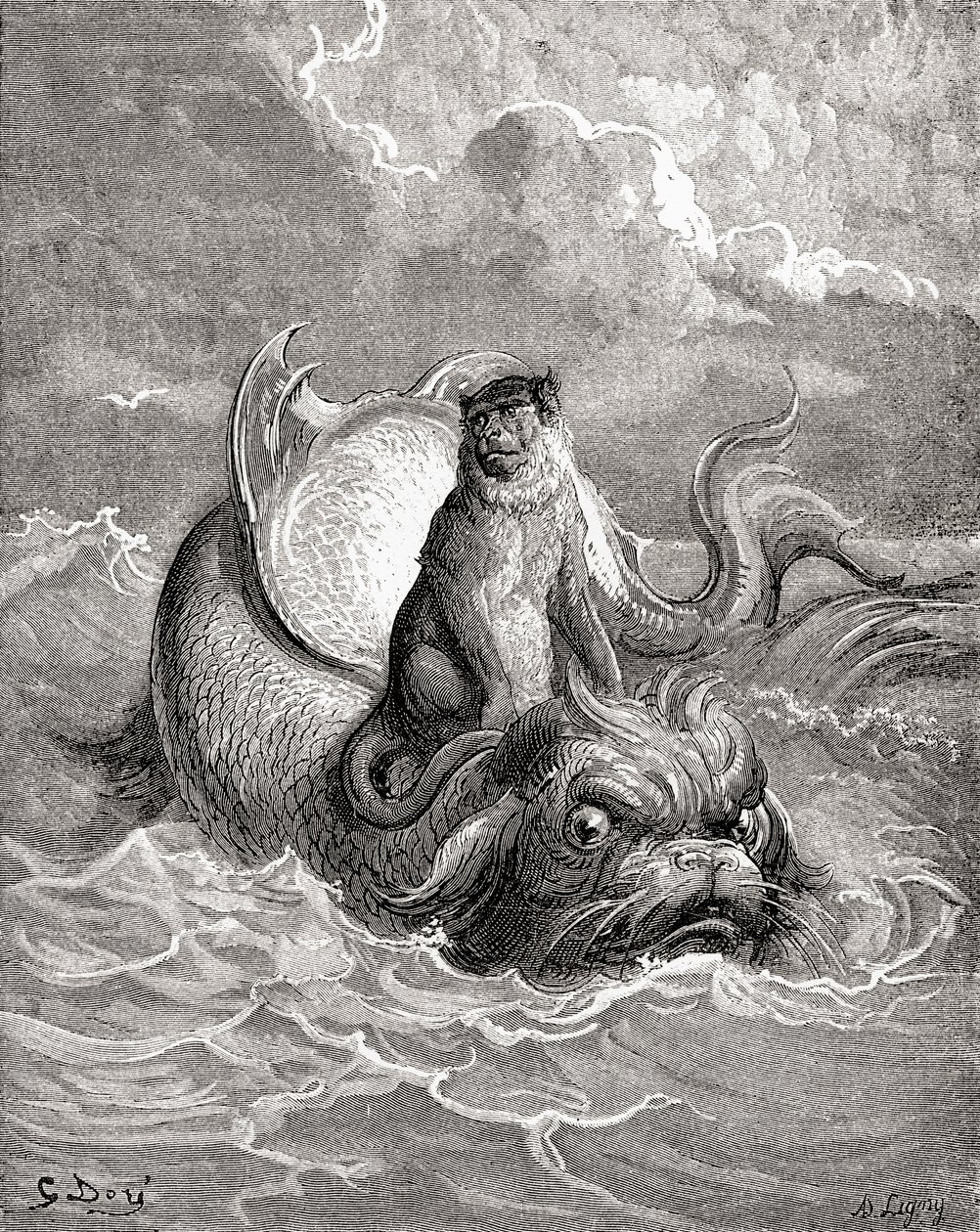 Opice a delfín podle díla Gustava Doreho pro pohádku La Fontaine. Z knihy Život a vzpomínky Gustava Doreho, vydané roku 1885. od Gustave Dore
