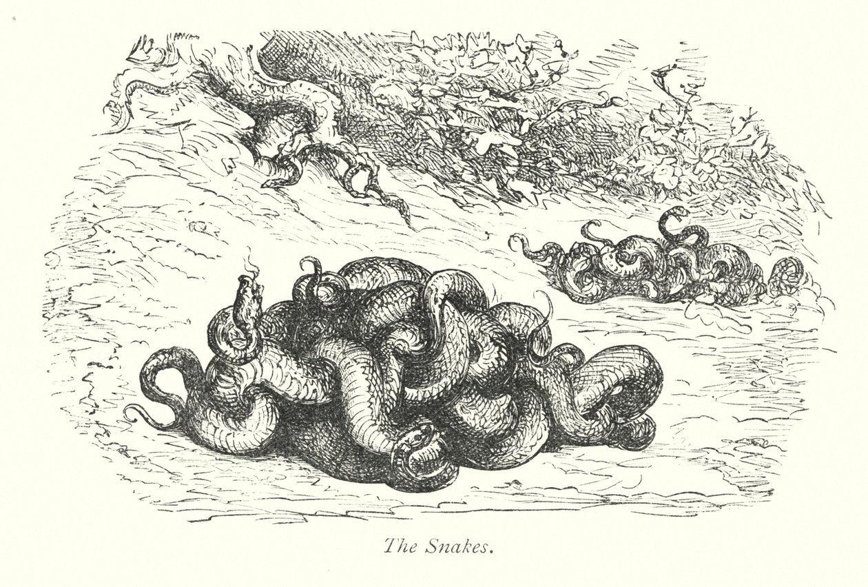  od Gustave Dore