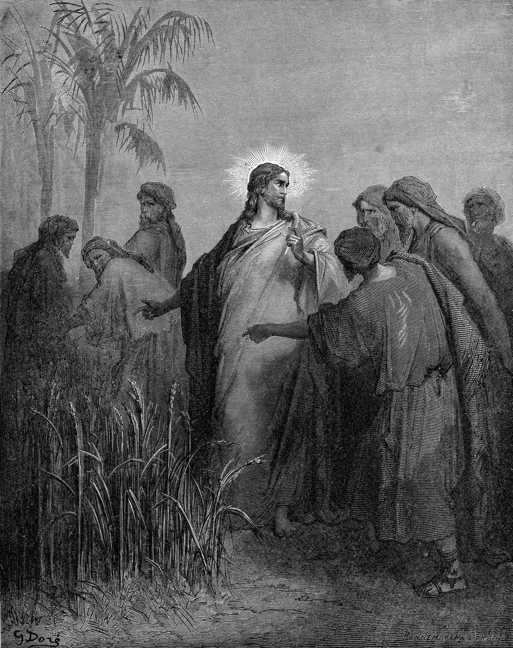 Učedníci trhající obilí v sobotu od Gustave Dore