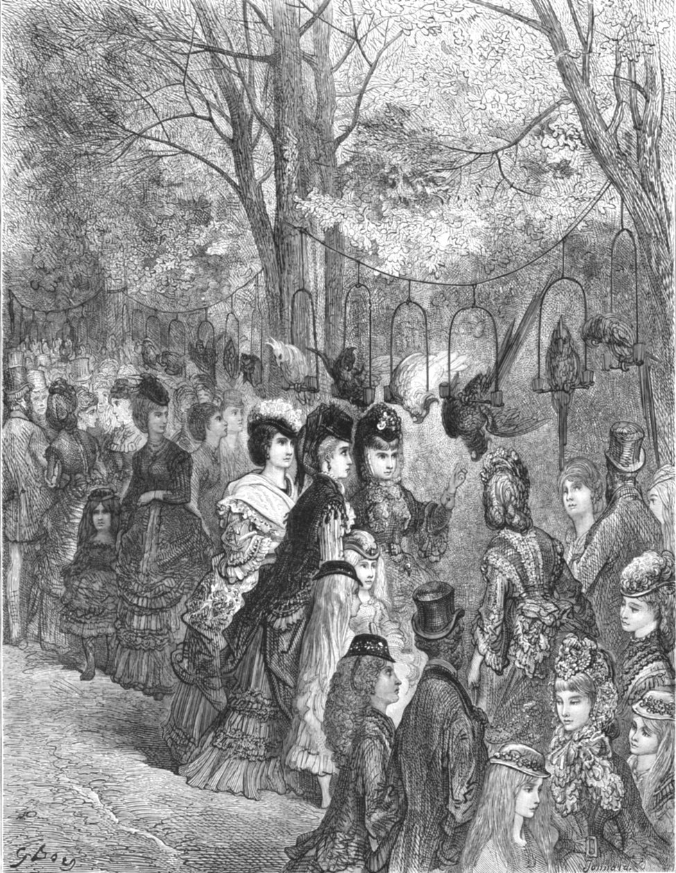 "Zoologické zahrady - Parrot Walk", 1872. od Gustave Dore