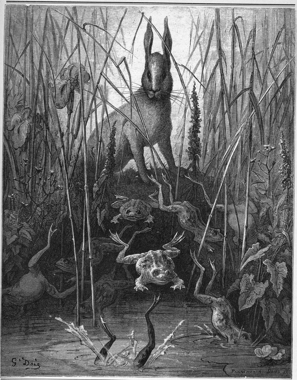 zajíc a žába - Zajíci a žáby - z "Bajky" od Jean de La Fontaine od Gustave Dore