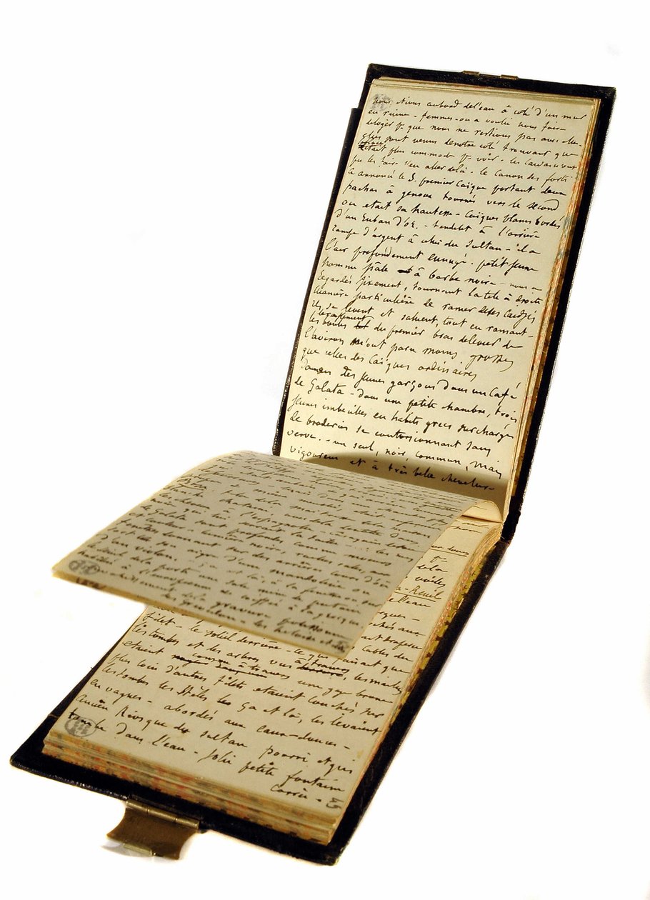 cestopis Gustava Flauberta (1821-1880), francouzského spisovatele, historická bibliotéka od Gustave Flaubert