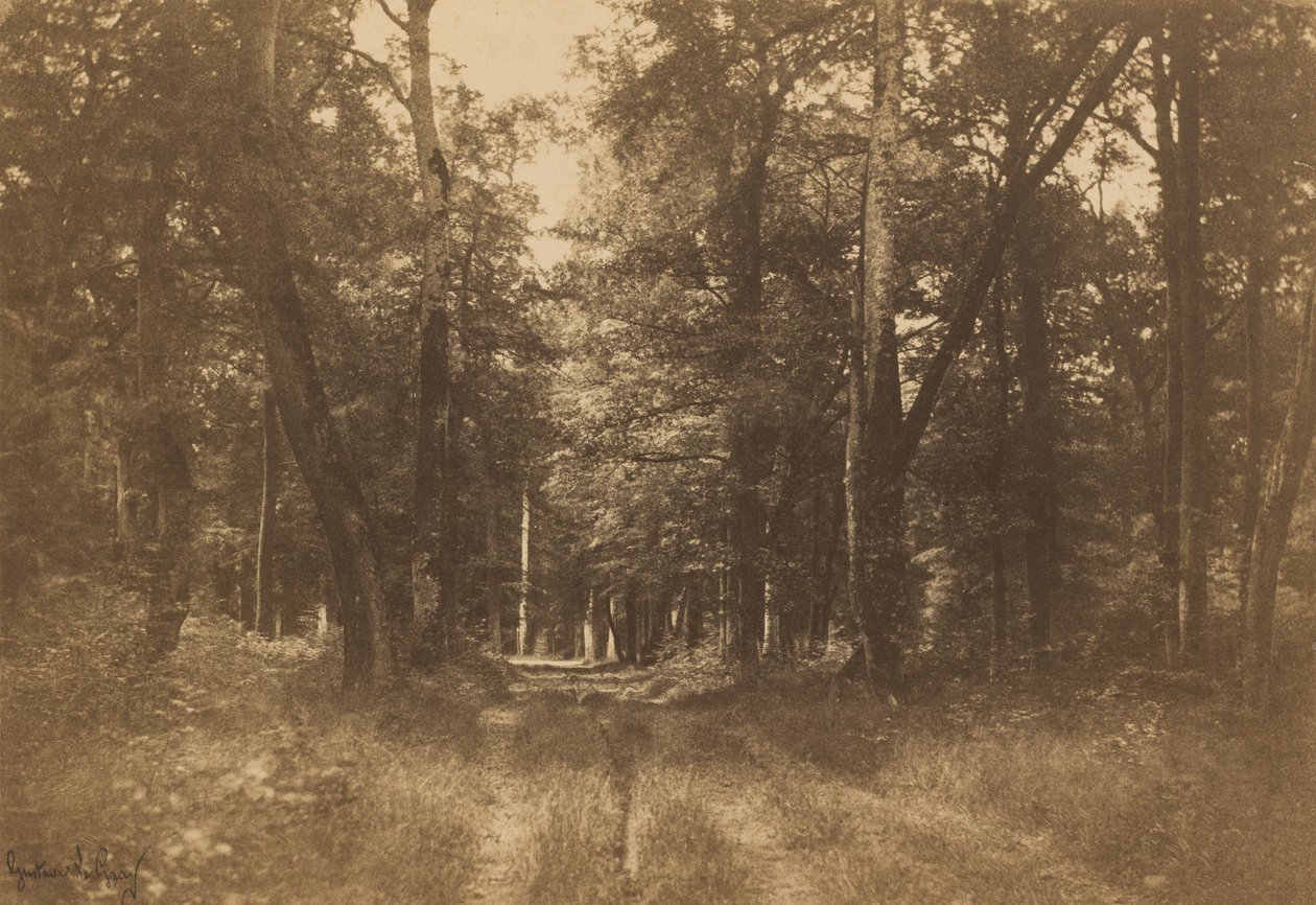 Bas-Bréau, Les Fontainebleau od Gustave Le Gray