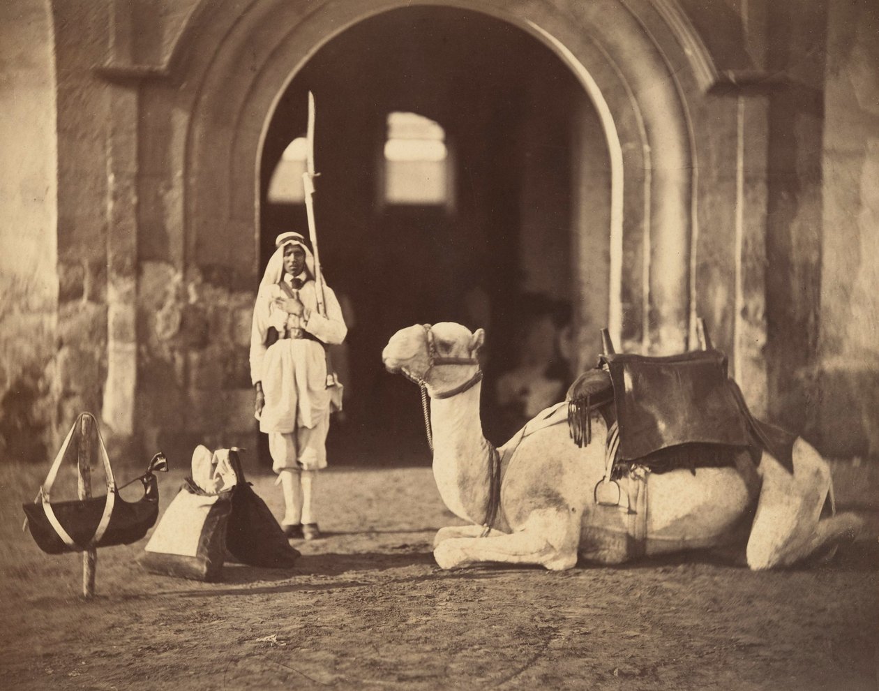 Velbloud vleže, kolem roku 1866 (hlubotisk) od Gustave Le Gray