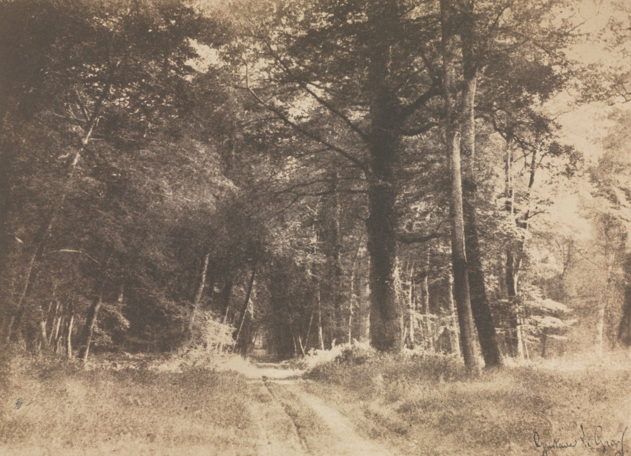 Cesta v lese Fontainebleau od Gustave Le Gray