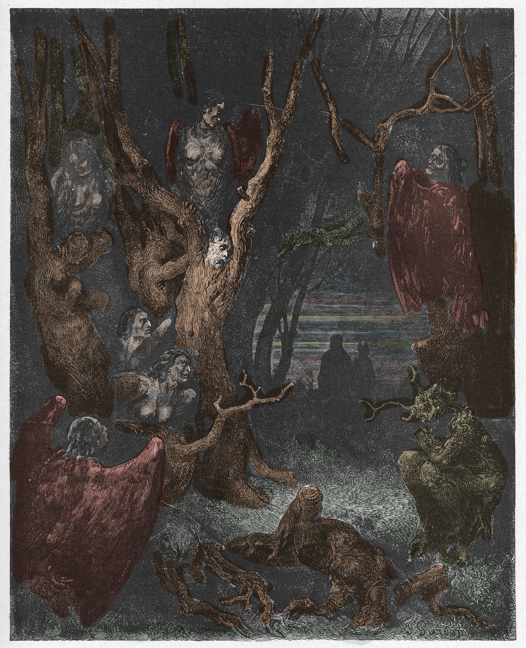 Inferno, Canto 13 : Harpyje v lese sebevrahů, ilustrace z Božské komedie Dante Alighieriho, 1885 (digitálně kolorovaná rytina) od Gustave after Dore