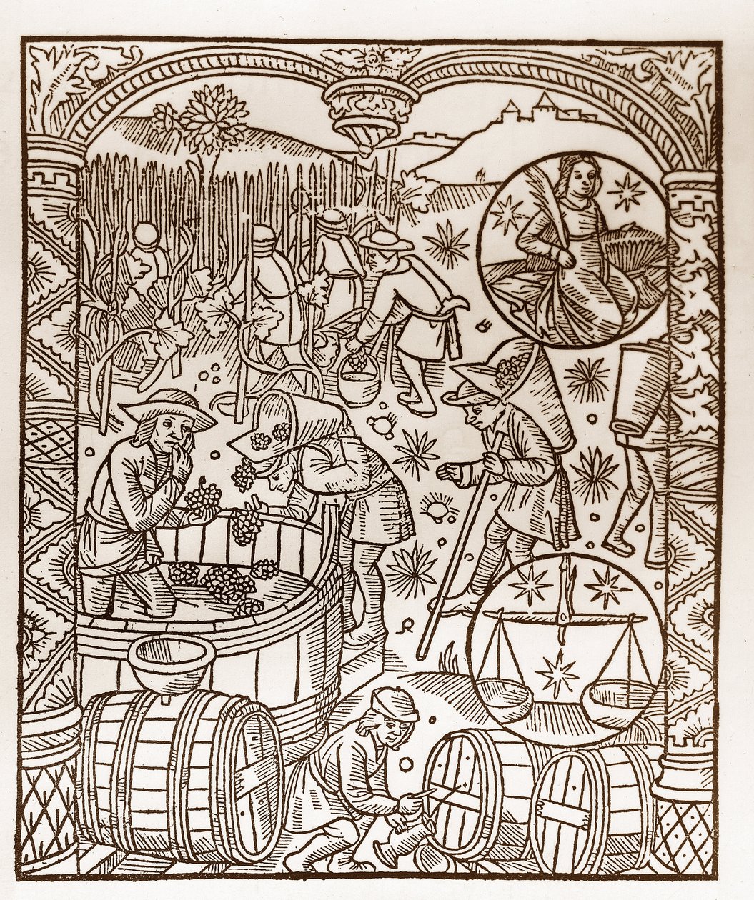 Pastýřský kalendář - Práce měsíců - Říjen - Dřevoryt z knihy z roku 1496 vytištěné Guyem Marchantem (Guido Mercator) v Troyes - Dřevoryt v „“Le grand Calendrier et compost des shepherds““ – Sklizeň – a znamení zvěrokruh: od Guy Marchant