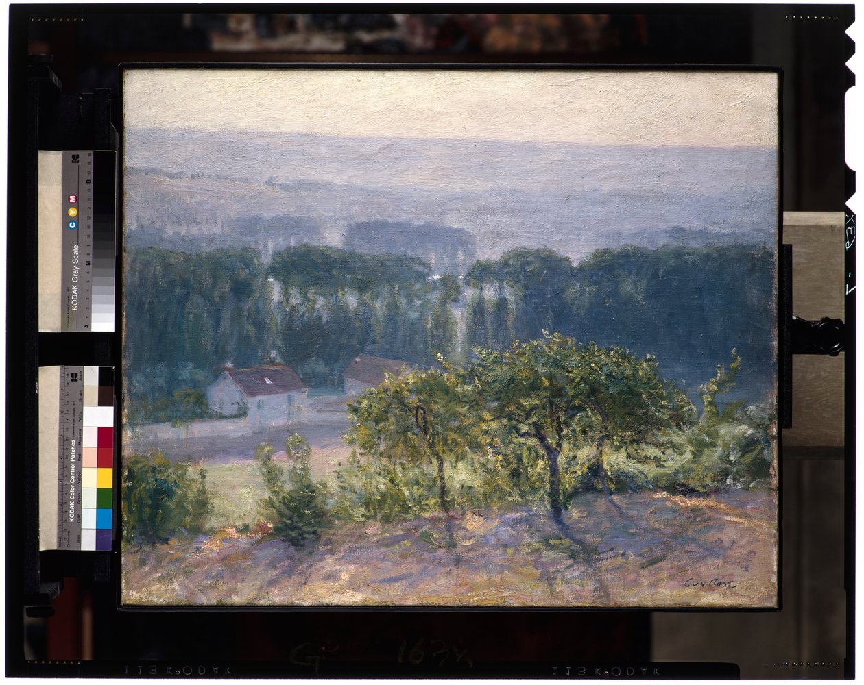 Pozdní odpoledne, Giverny, cca 1905-13 (olej na plátně) od Guy Rose