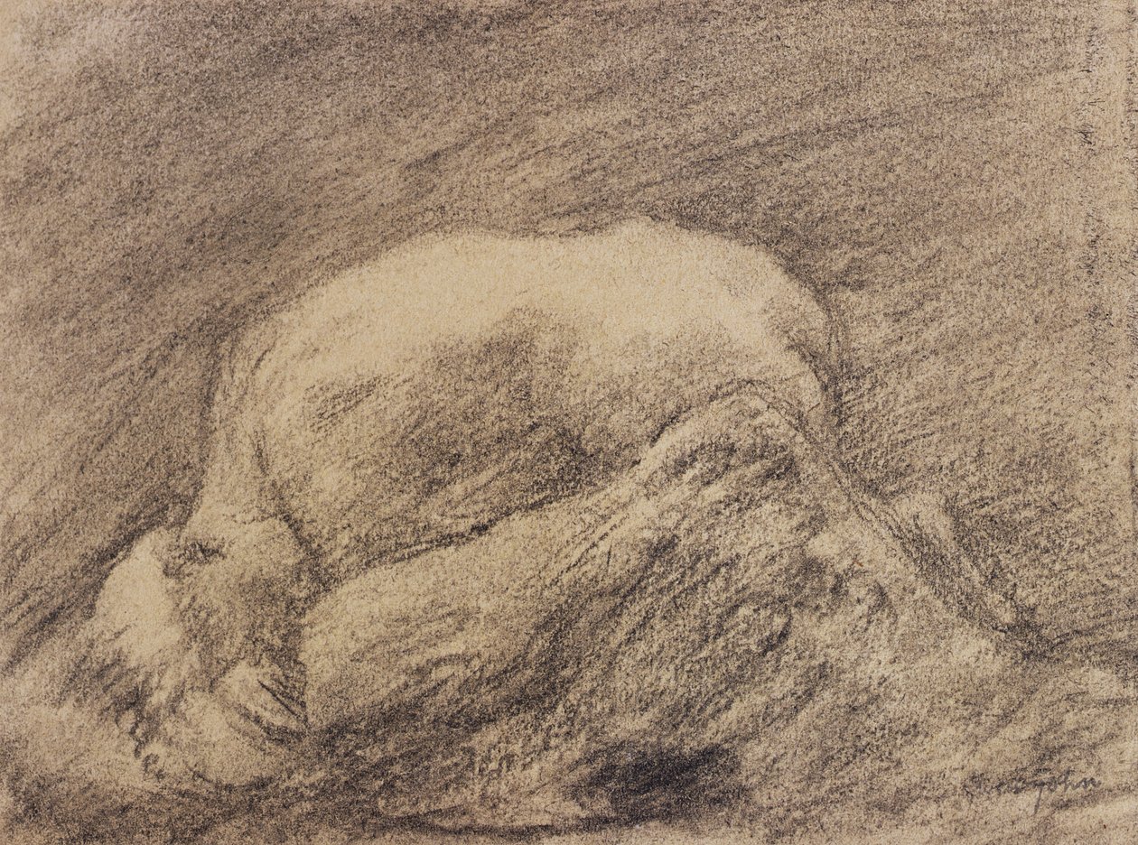 Studie Rodinova Danaid v jeho ateliéru (uhl na papíře) od Gwen John