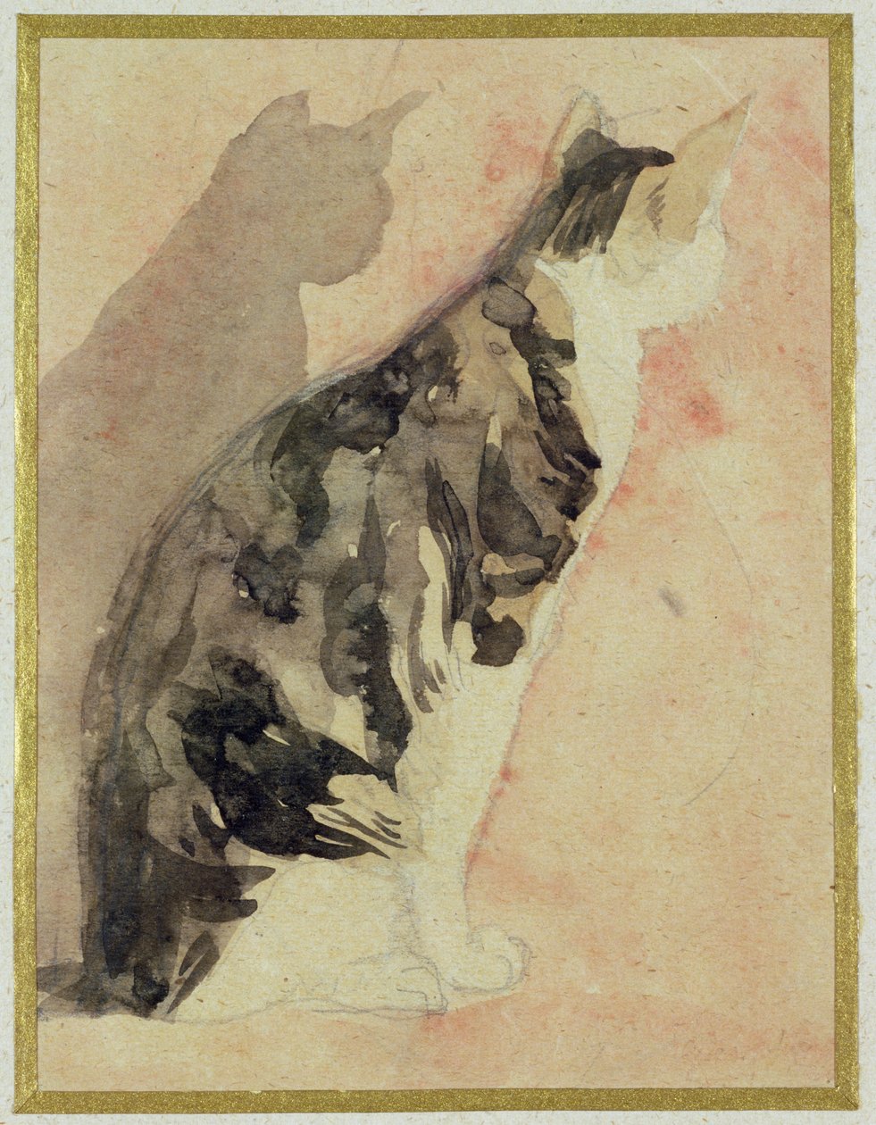 Studie kočky od Gwen John