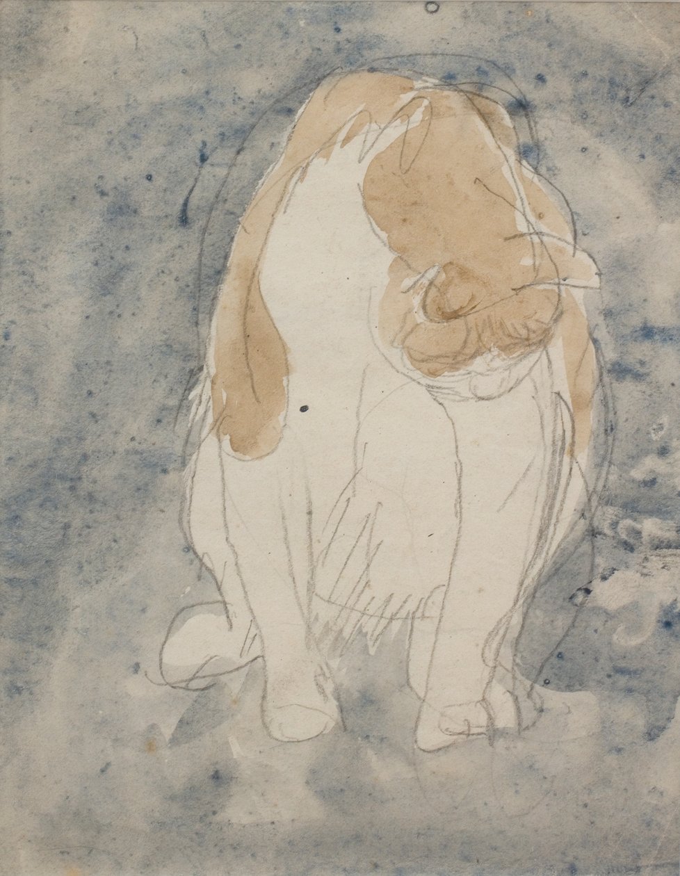 Studie kočky, asi 1910-20 (akvarel a grafitová tužka na papíře) od Gwen John