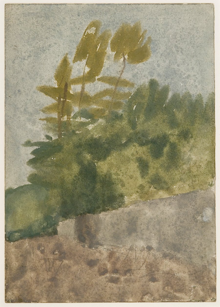 Stromy (akvarel, kvaš a tužka na papíře) od Gwen John
