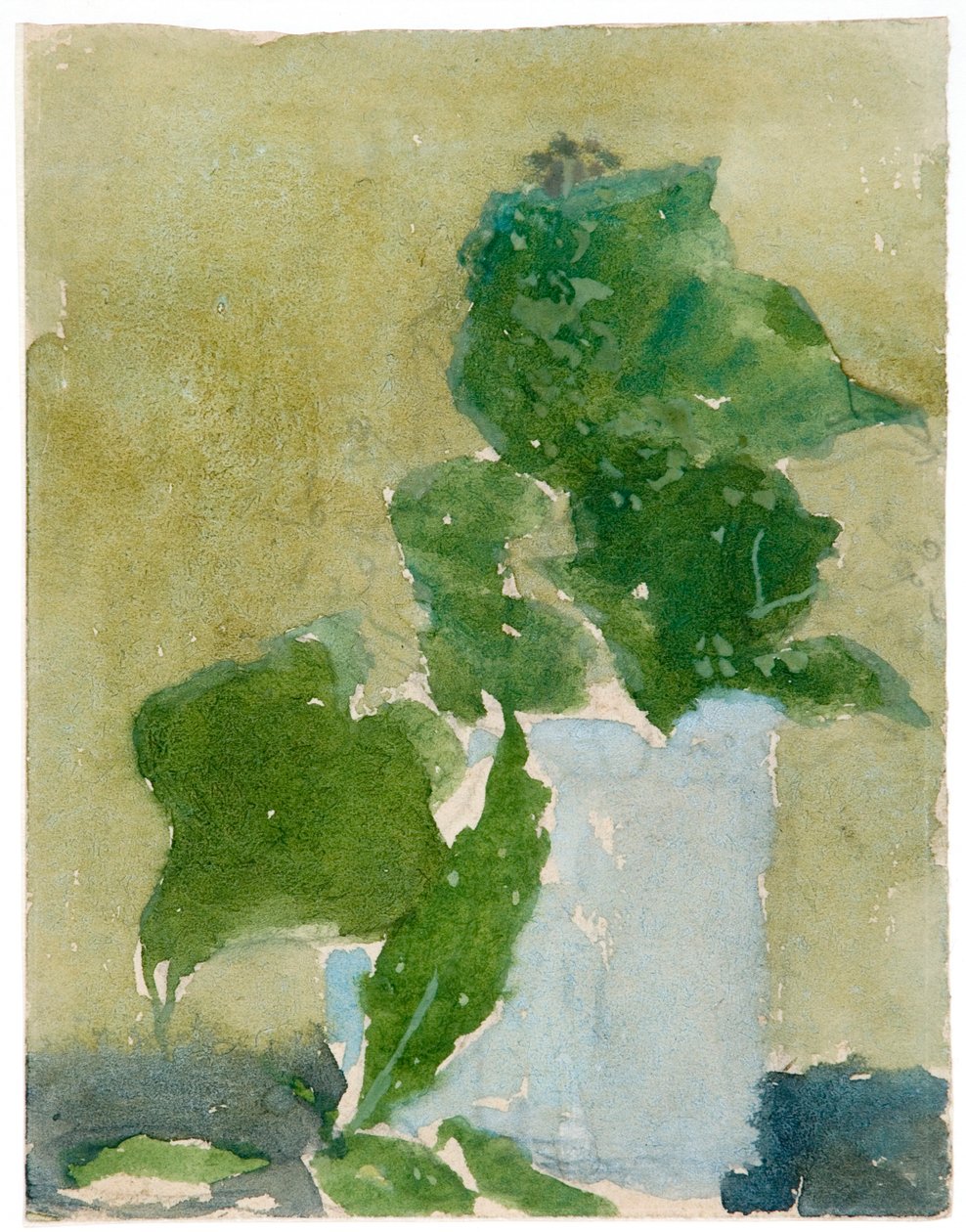 "Konvalinky ve džbánu", 1896-1939 od Gwendolen Mary John