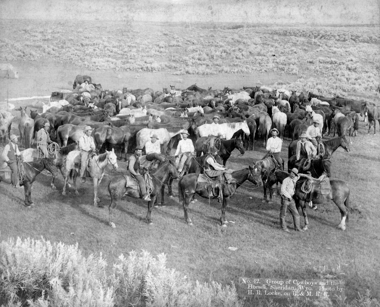 Skupina kovbojů a jejich koní, Sheridan, Wyoming, c.1890 od H. R. Locke