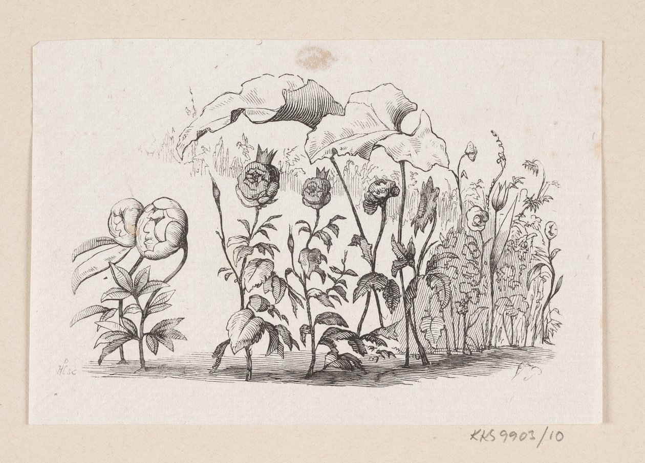 Ilustrace pro "Den lille Idas Blomster" v H.C. Andersen, "Pohádky a příběhy", svazek 1 od H.P. Hansen