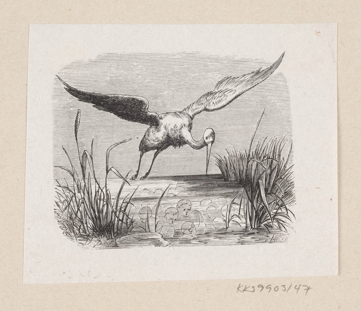 Ilustrace pro "The Storks" v H.C. Andersen, "Pohádky a příběhy", svazek 1 od H.P. Hansen