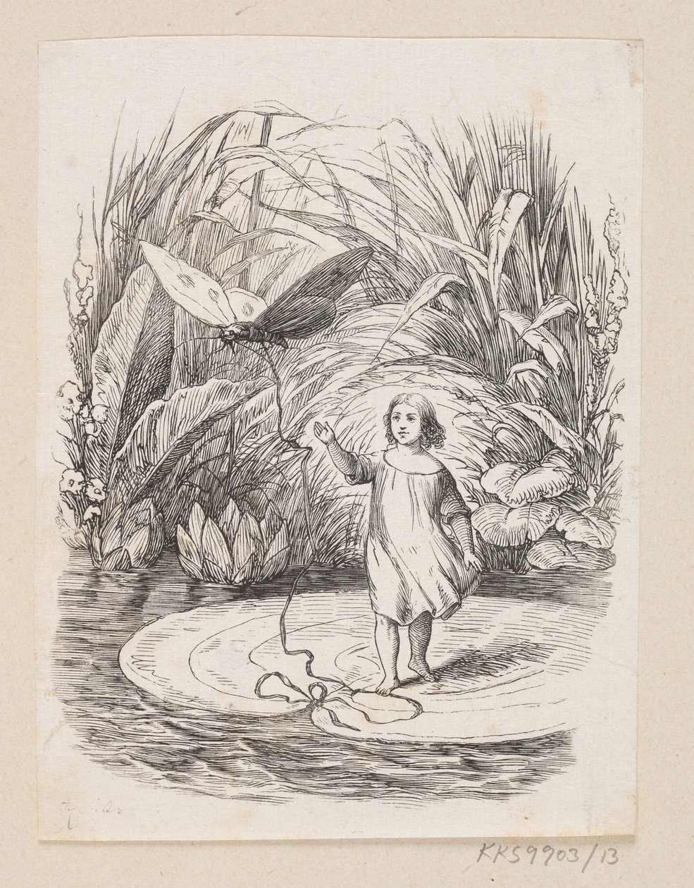 Ilustrace pro "Tommelise" v H.C. Andersen, "Pohádky a příběhy", svazek 1 od H.P. Hansen