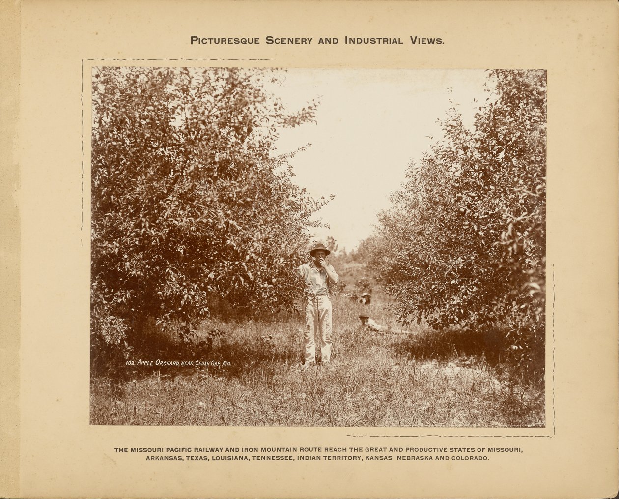 Jablečný sad u Cedar Gap, Missouri od H. C. Townsend
