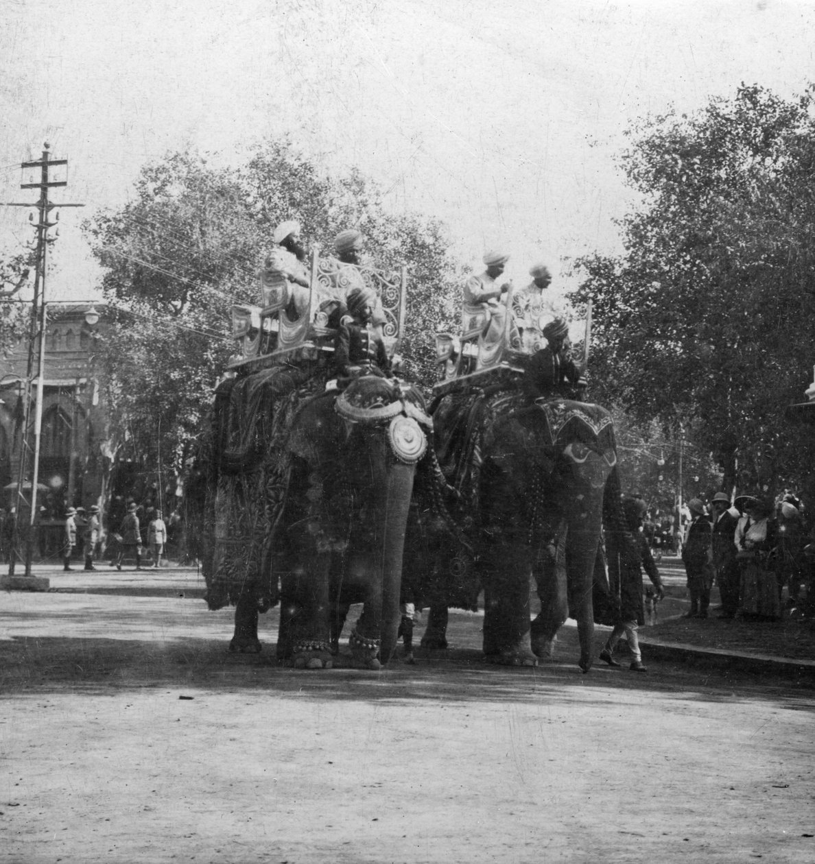 Pandžábská princezna jedoucí na slonovi v průvodu, Dillí, Indie, 1900. od H. Hands and Son