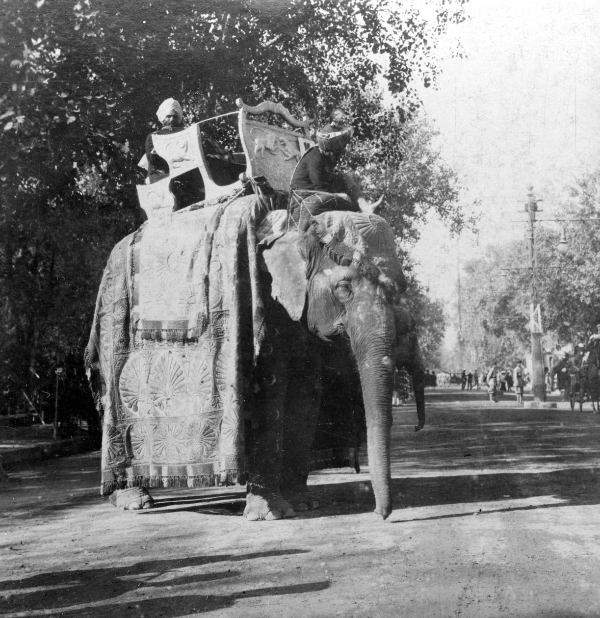 Slon před železniční stanicí v Dillí, Indie, 1900. od H. Hands and Son