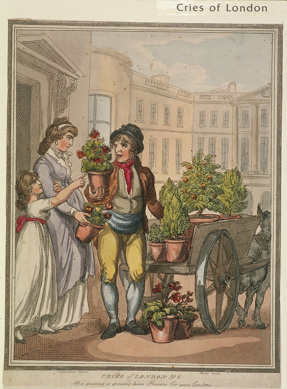 „Všechno roste, roste, tady jsou květiny pro vás zahrady“, deska VI Cries of London, 1799 od H Merke