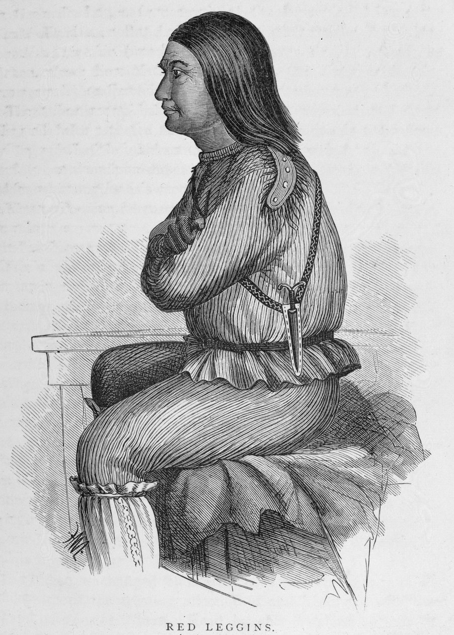 Red Leggins, náčelník ve Fort Yukon, z „Aljašky a jejích zdrojů“, od Williama H. Dalla, vyryl John Andrew, hospoda. 1870 od H. W., Elliot