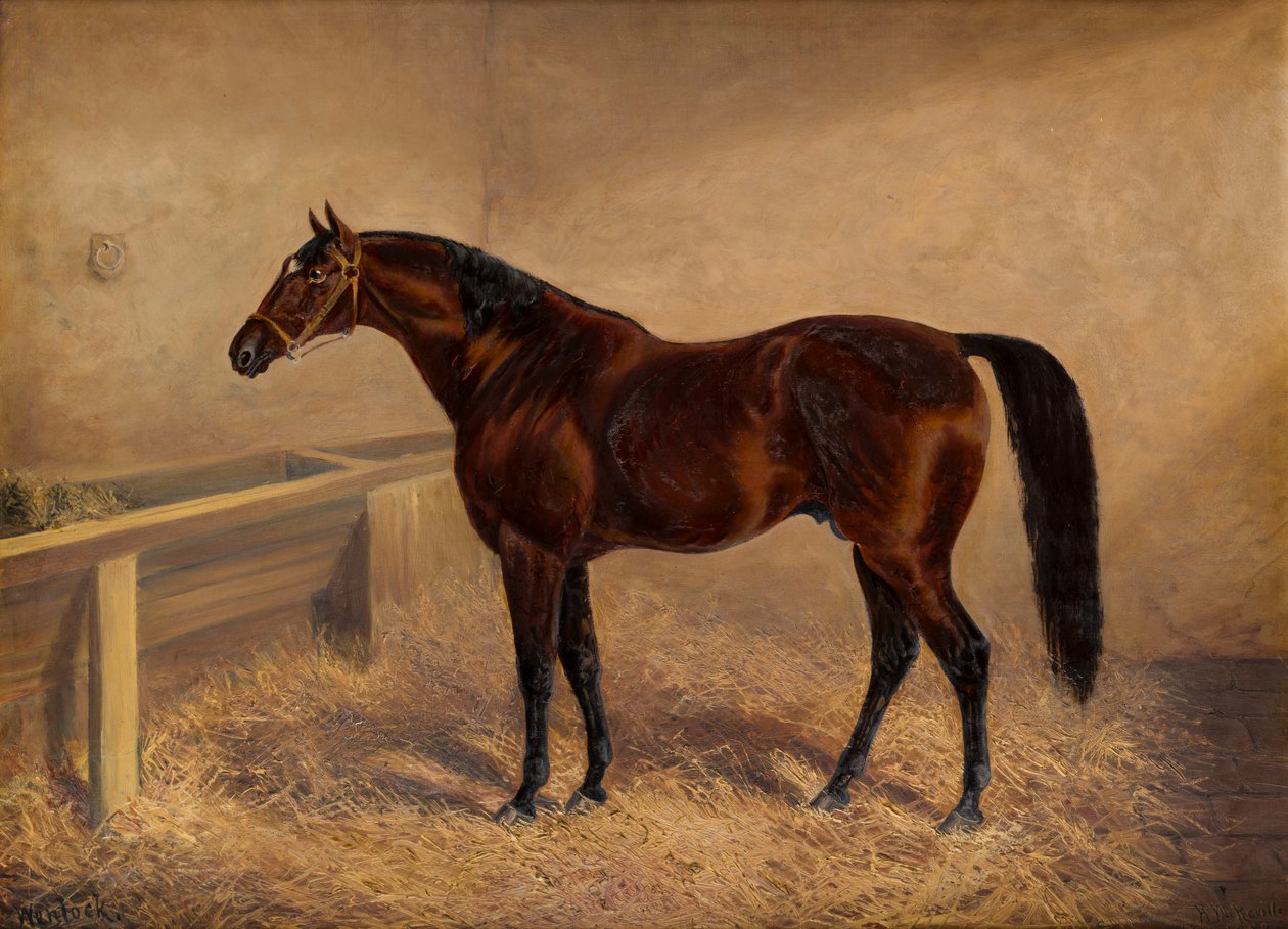 Wenlock: A Bay Dostihový kůň, ve volné krabici, kolem 1881-1903 (olej na plátně) od H. Whittaker Reville