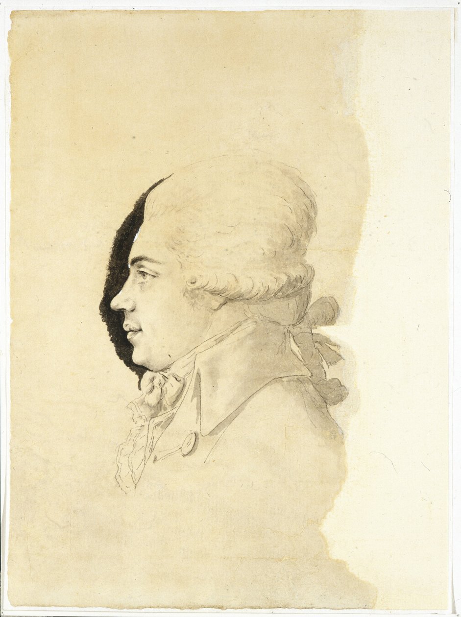 Portrét hraběte Nikolaje Petroviče Rumjanceva 1754-1826, konec 80. let 18. století od Haacke