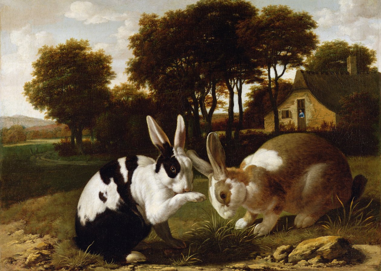 Dva králíci v krajině, kolem roku 1650 od Haarlem School