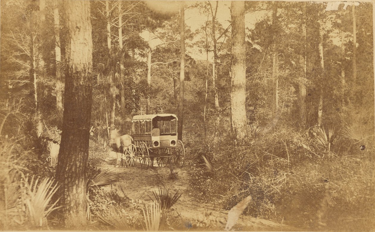 Scéna na ostrově Folly Island od Haas and Peale
