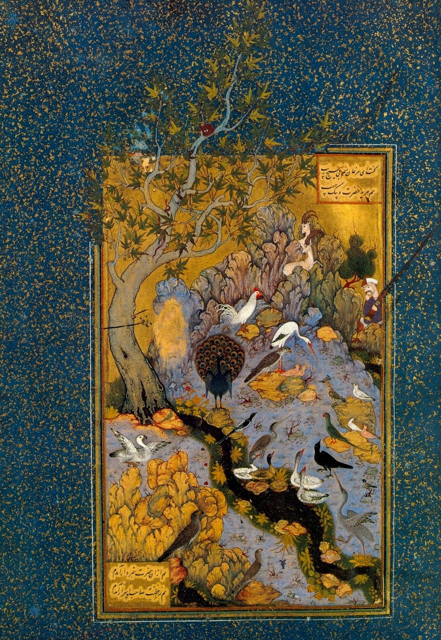 Folio od Mantiq al-Tayr The Language of the Birds, od Attar, c1600. od Habib Allah