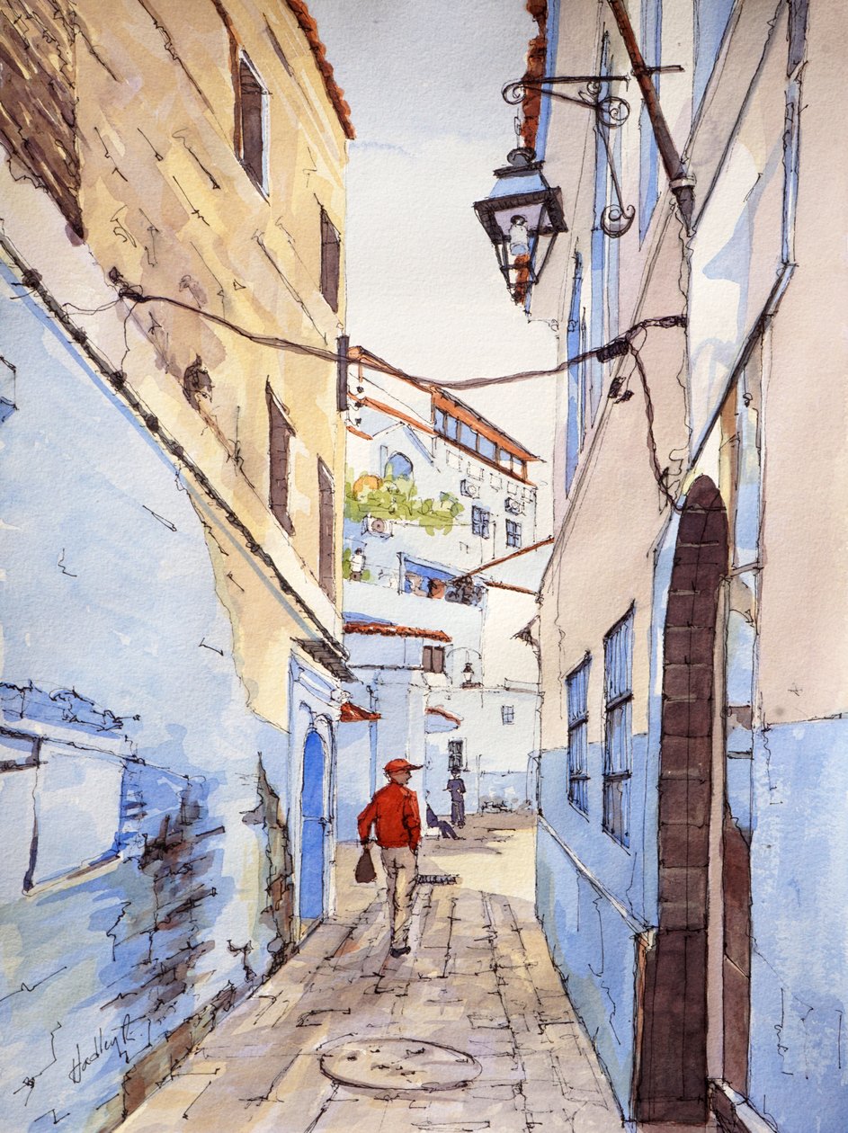 Návštěvník, Chefchaouen, Maroko, asi 2024 (akvarel a tuš) od Hadley Rampton